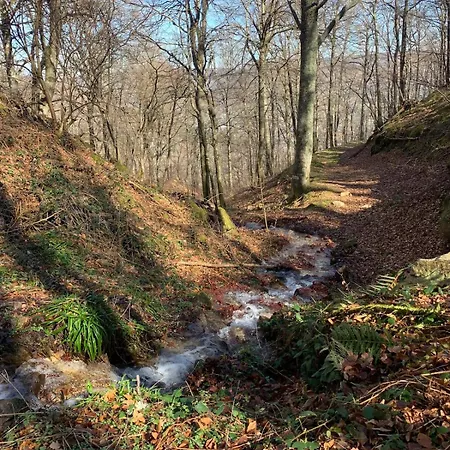 At La Ferme Des Salies - 10 Min From Foix * Ferrieres-sur-Ariege
