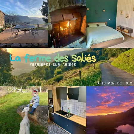 At La Ferme Des Salies - 10 Min From Foix 公寓