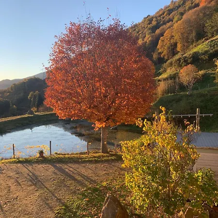 公寓 At La Ferme Des Salies - 10 Min From Foix