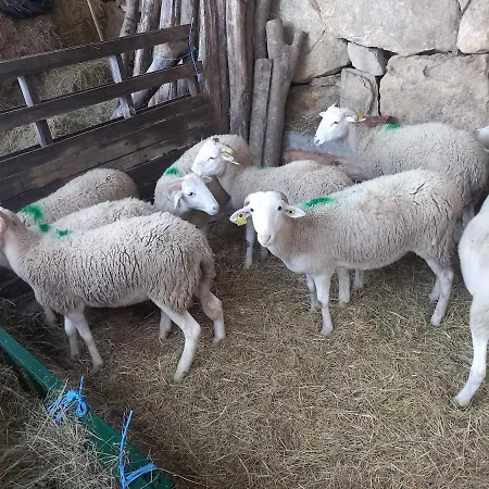 At La Ferme Des Salies - 10 Min From Foix Ferrieres-sur-Ariege