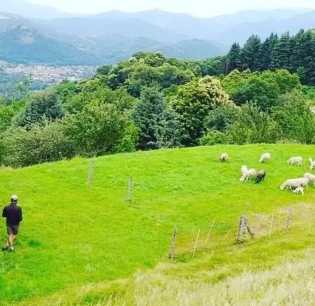 At La Ferme Des Salies - 10 Min From Foix *